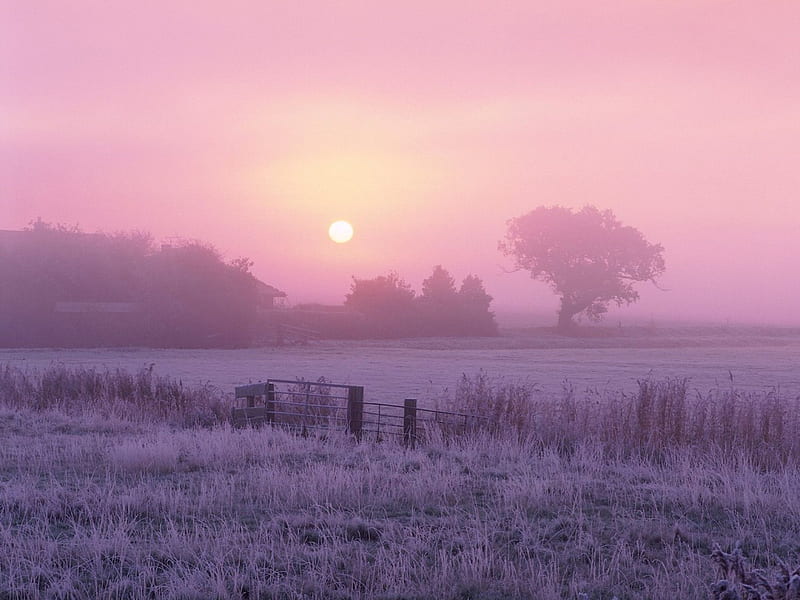Sunrise Over Frosty Farmland Norfolk England, nice, sky, HD wallpaper