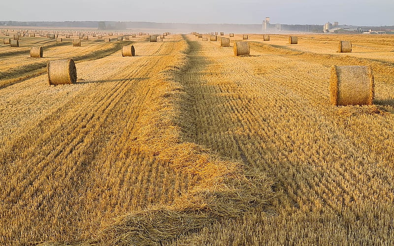 Harvest in Latvia, straw, Latvia, harvest, field, HD wallpaper