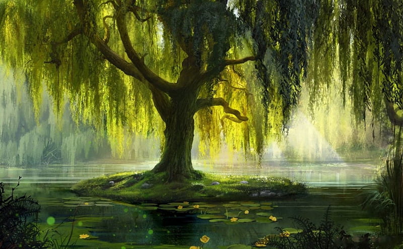 The Willow Bath, pond, leaves, painting, waterlilies, Tree, artwork, HD wallpaper