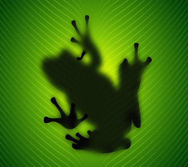 frog, green, other, HD wallpaper
