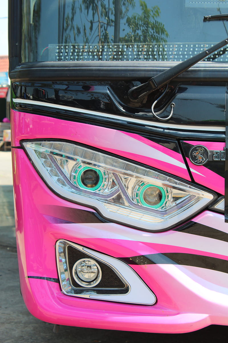 The pink bus, transportation, vehicle, HD phone wallpaper