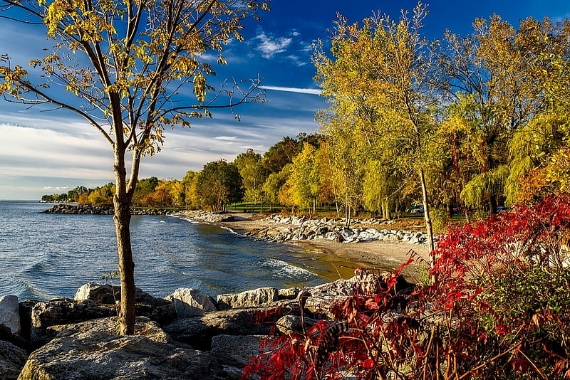 Lake Ontario,Canada, forest, fall, shore, autumn, scenic, sky, clouds, lake, foliage, nature, landscape, HD wallpaper