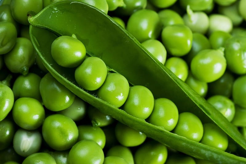 pea, vegetable, food, green, HD wallpaper