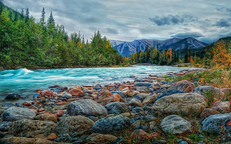 ✰RIVER OF NO RETURN✰, rocks, flow, clouds, stones, splendor, grasses, bright, flowers, beauty, forests, rivers, R, lovely, refreshing, sky, trees, weather, River of no return, water, cool, mountains, splendidly, moist, colorful, scenic, brown, bonito, atmosphere, graphy, green, be cool, scenery, magnificent, light, blue, view, fresh, colors, flowing, nature, HD wallpaper