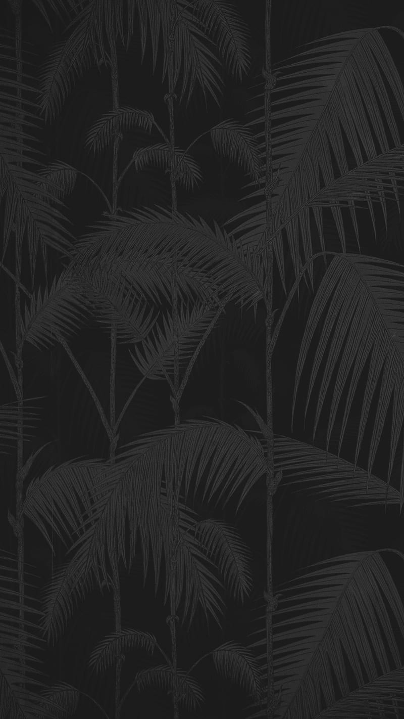 Dark Dope, 929, amoled, black, dark, gray, minimal, HD phone wallpaper