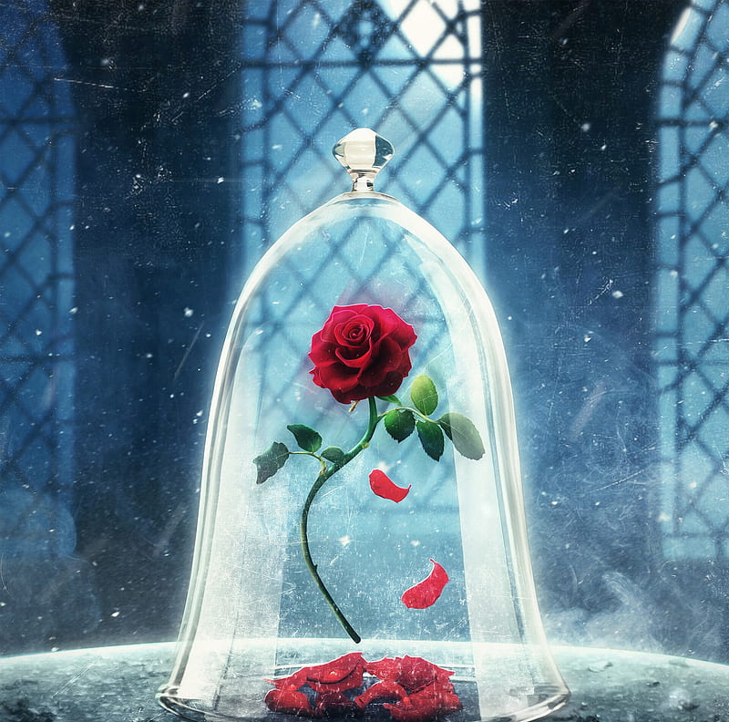 Magical rose, glass, red, beauty and the beast, rose, magical, trandafir,  hosne qanadelo, HD wallpaper | Peakpx
