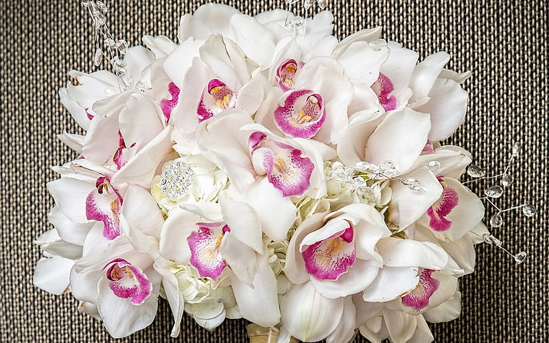 white orchids, bridal bouquet, beautiful white flowers, wedding bouquet, orchids, HD wallpaper