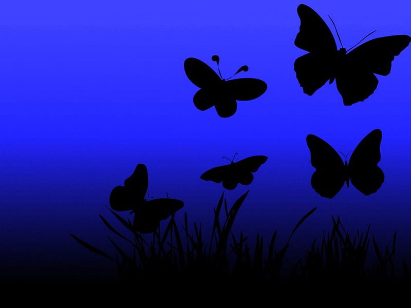 Flutter blue, black, butterflies, blue, flight, HD wallpaper