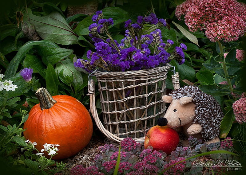 Wish you Find All the Joy of Holidays!, red, artist, autumn, orange, grapher, floral, still life, fruit, graphy, green, arrangement, flowers, hedgehogs, art, apple, composition, abstract, purple, basket, nature, wishes, pumpkins, natural, HD wallpaper