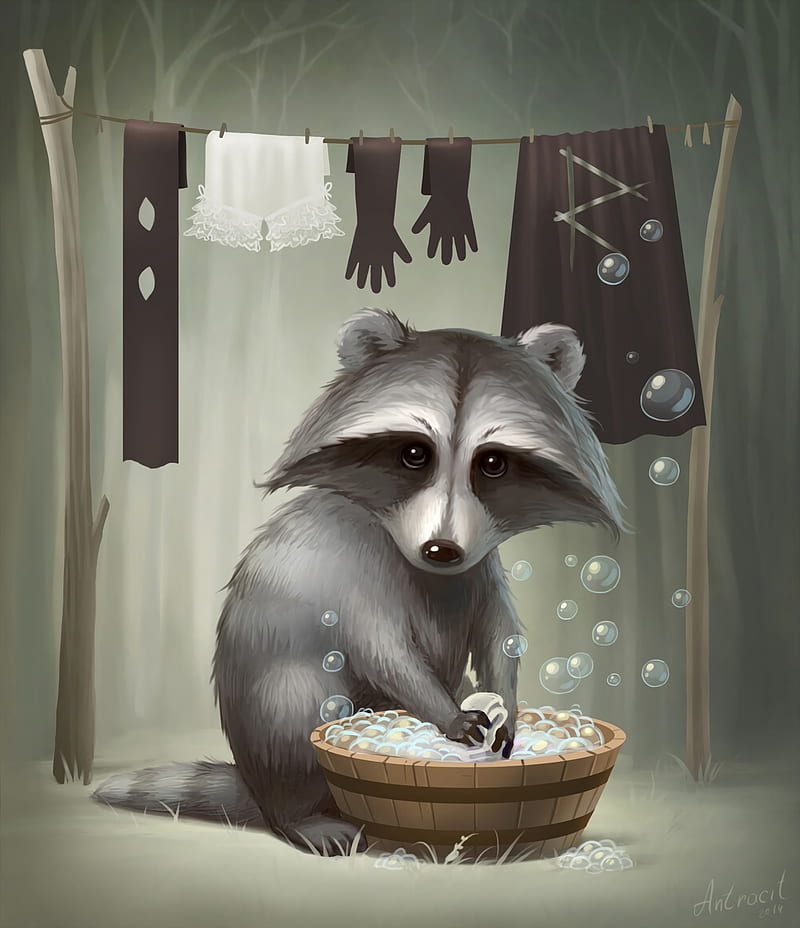 raccoon, cute, art, HD phone wallpaper
