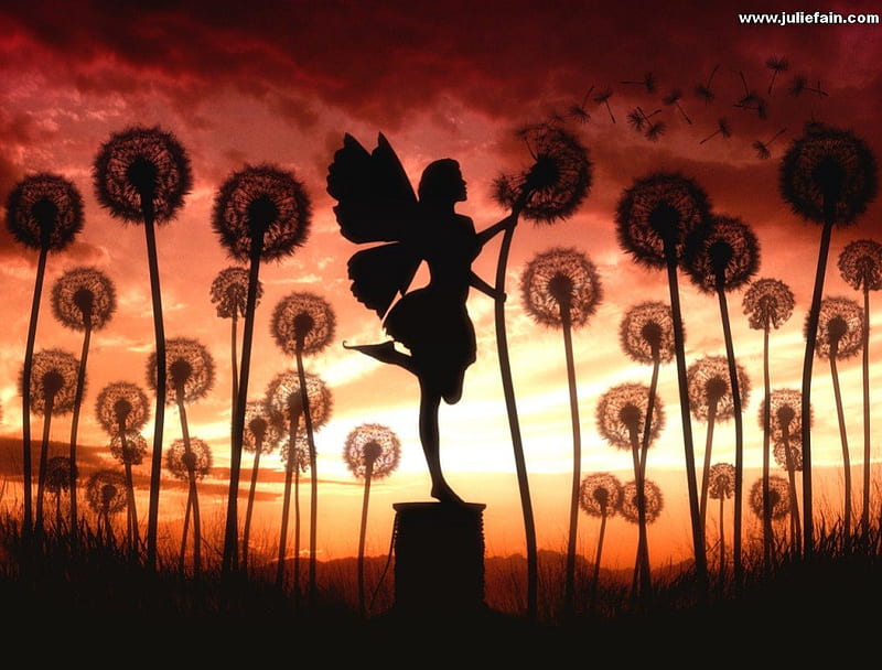 Make A Wish, fantasy, spool, weeds, sunset, fairy, HD wallpaper