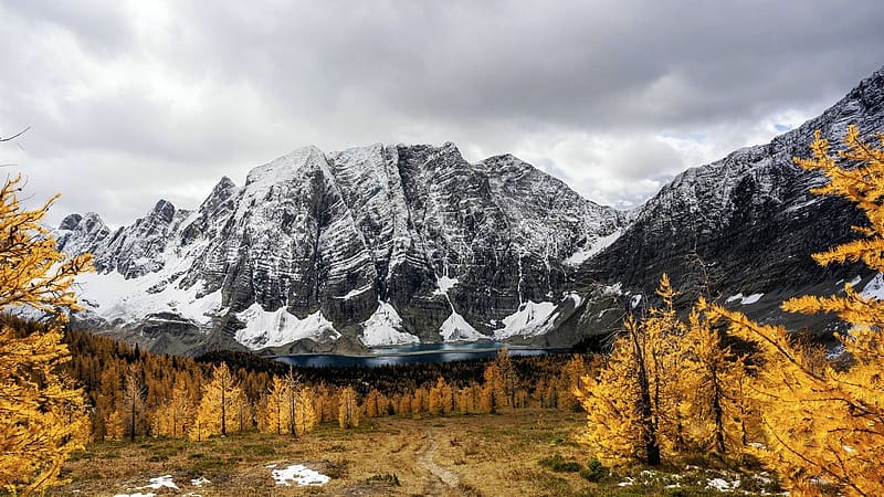 Larches at Floe Lake, British Columbia, trees, clouds, autumn, colors, landscape, sky, mountains, canada, HD wallpaper