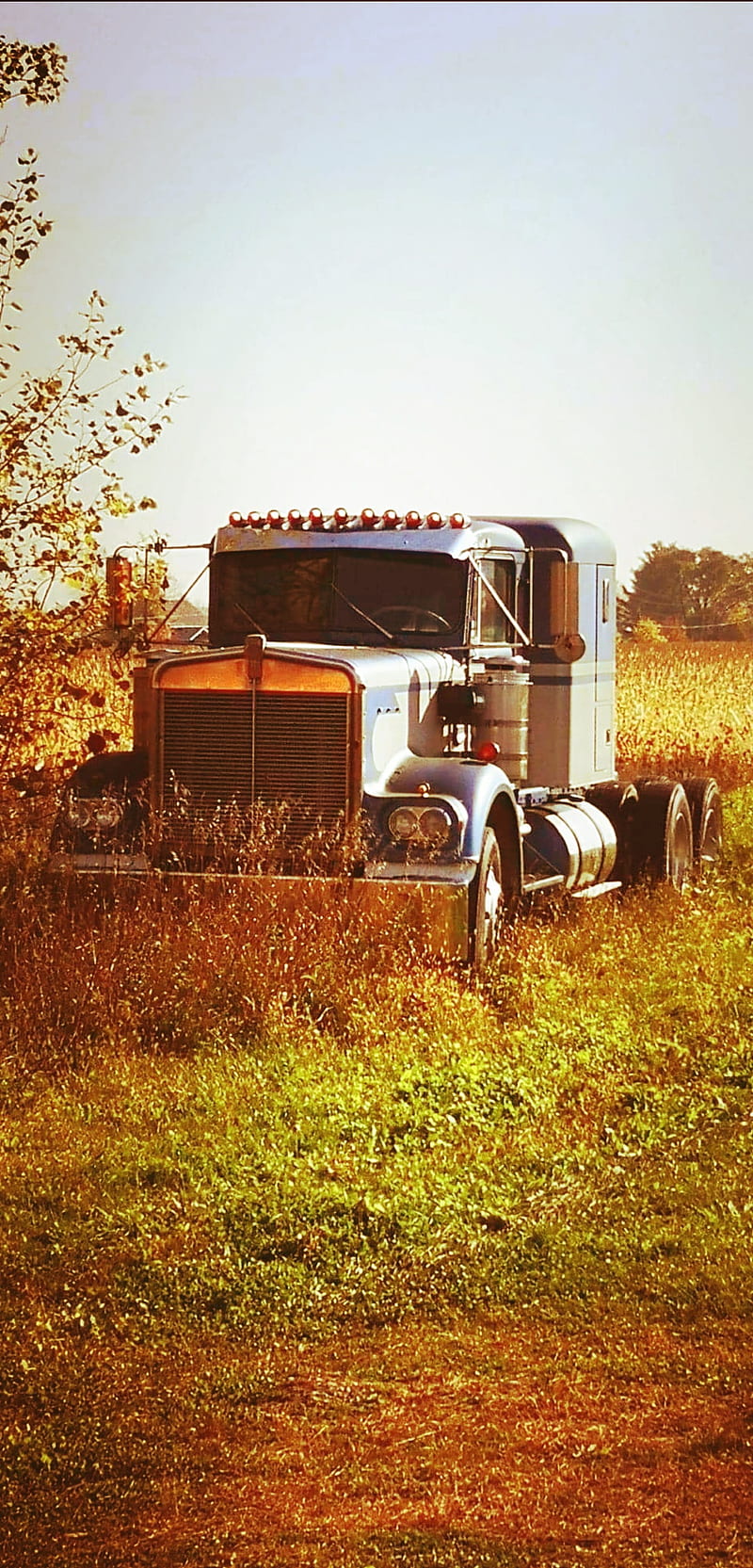 Retired KW, country, kenworth, old, rust, rusty, semi, truck, trucking, w900, HD phone wallpaper
