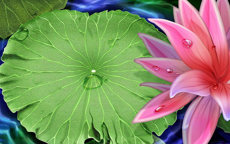 Lotus flower windows 7 digital 3d, lotus flower, lilypad, floats, HD  wallpaper | Peakpx