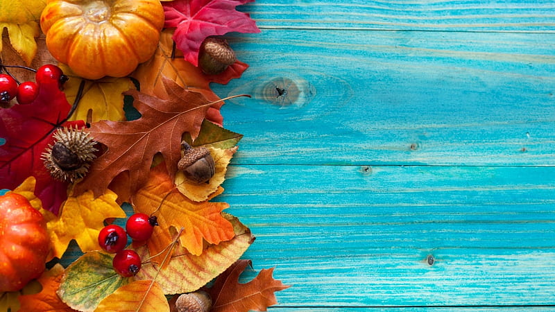 •⊰✿✿⊱•, autumn, autumn leaf, decoration, pumpkin, HD wallpaper