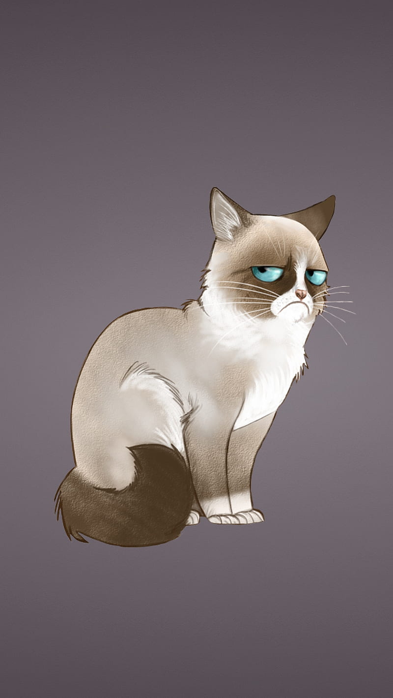 Grumpy Cat, cartoon, pet, HD phone wallpaper