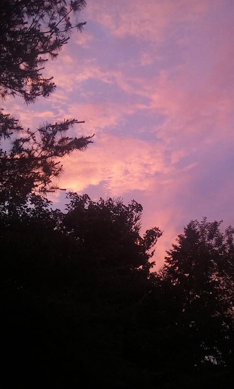 Distant Sunset, clouds, dream, orange, pink, purple, sky, trees, HD phone wallpaper