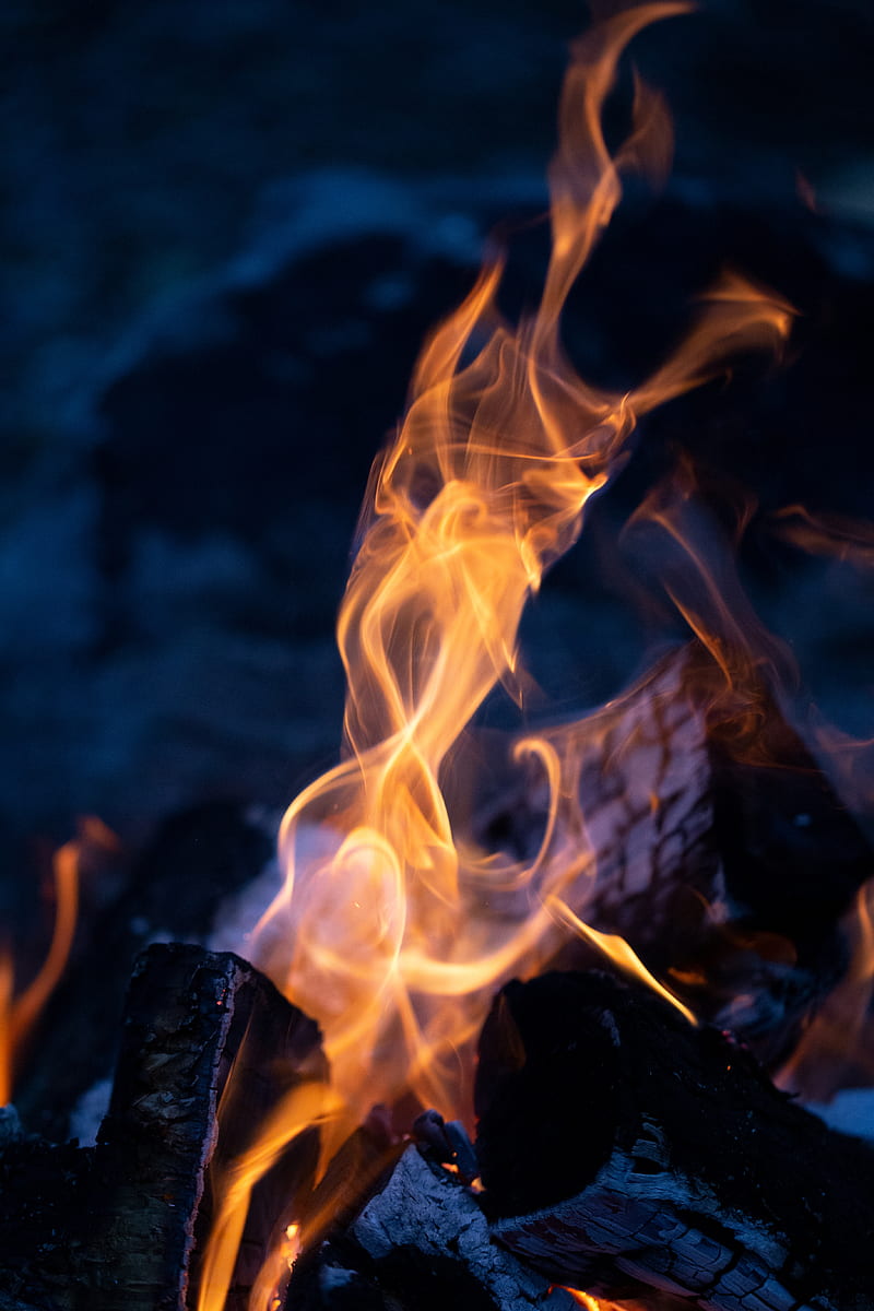 bonfire, fire, burn, firewood, embers, HD phone wallpaper