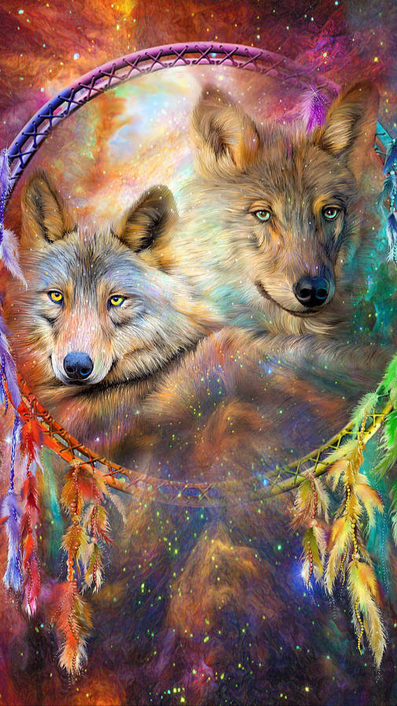 wolf dreamcatcher wallpaper