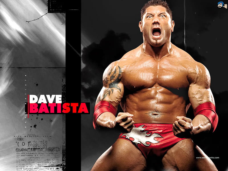 HD wallpaper: David Michael Bautista, Dave Batista, WWE, david bautista,  bodybuilder