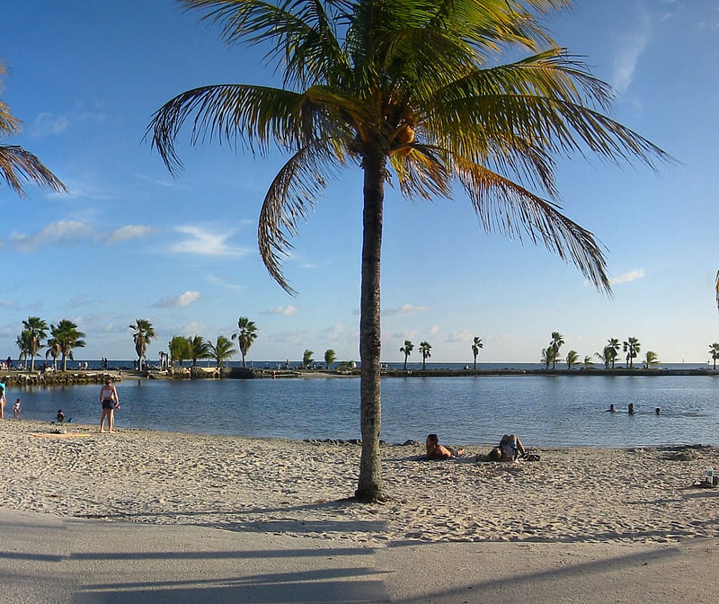 Miami 2, beach, bonito, fun, holiday, miami, ocean, palm, sun, tropical, HD wallpaper