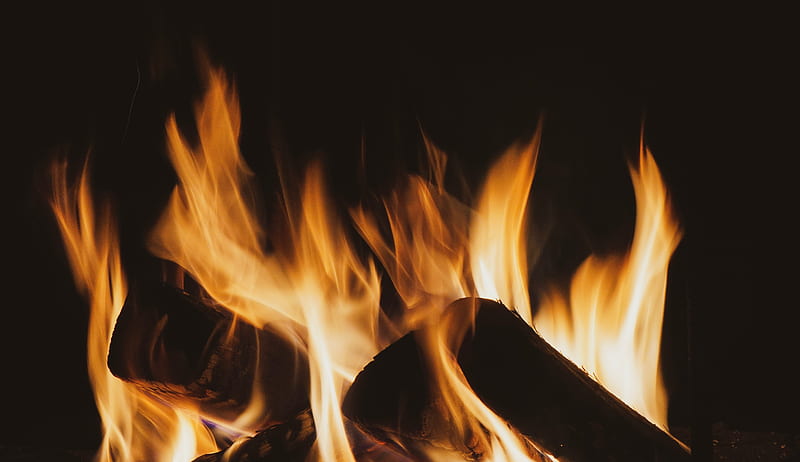 bonfire, firewood, flame, black, HD wallpaper