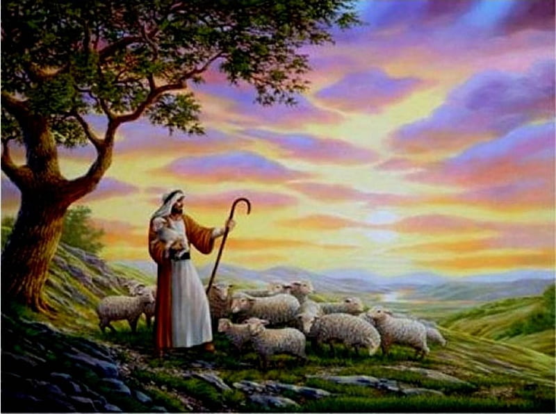Good shepherd JESUS, christ, sheep, jesus, shepherd, HD wallpaper