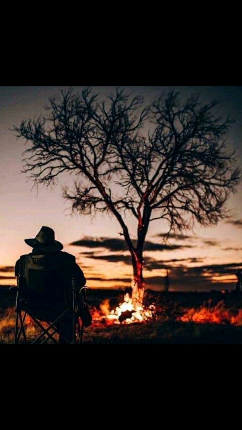 Relaxation, camp, desert, fire, mad, marlboro, oak, peace, tree, western, HD phone wallpaper