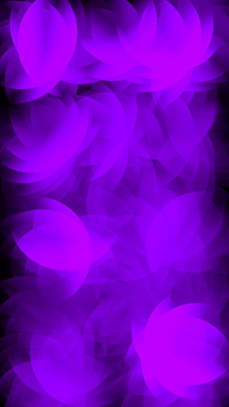 lilac abstract, black, dark, flower, form, geometric pattern, pink, purple, texture, HD phone wallpaper