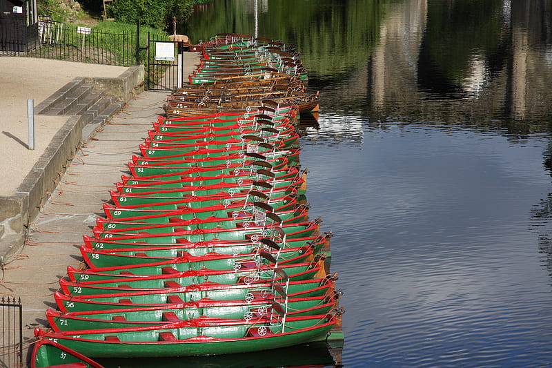Rowing boats at Nidd, summer, rowing boat, river, nidd, HD wallpaper
