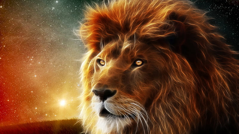 Smart, cool, lion, HD wallpaper | Peakpx