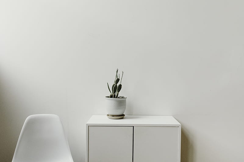 green plant on white cabinet, HD wallpaper