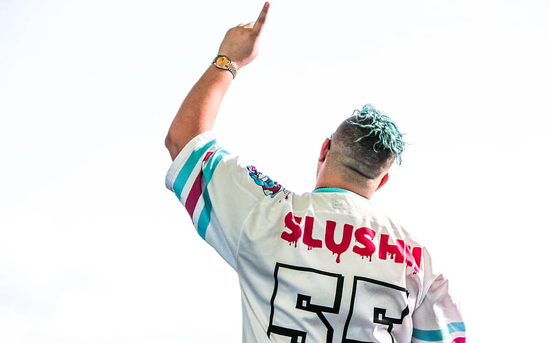 Julian Scanlan DJ Slushii, back view, DJ, superstars, Disc Jockey, Slushii, HD wallpaper