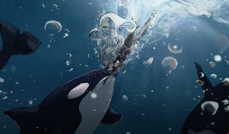 Orca (Guardian Tales) Image by will (Pixiv16770937) #3549354 - Zerochan  Anime Image Board