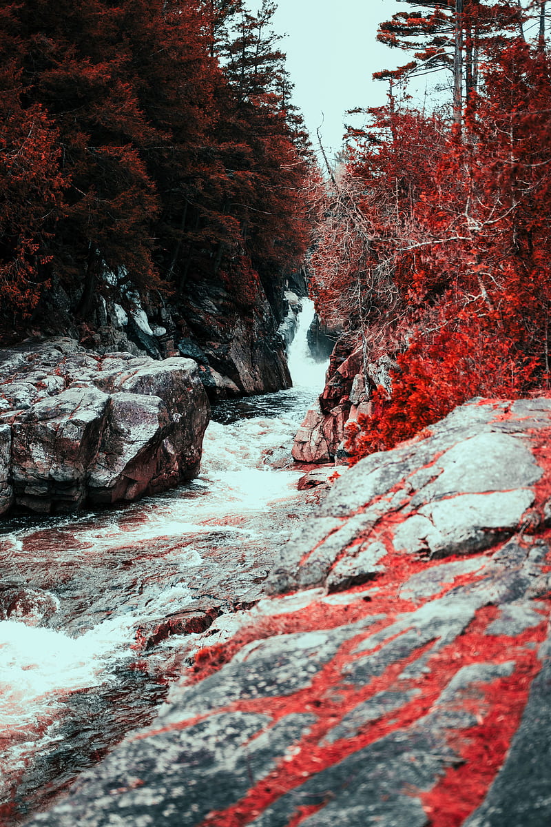 waterfall, water, flow, stones, red leaves, HD phone wallpaper