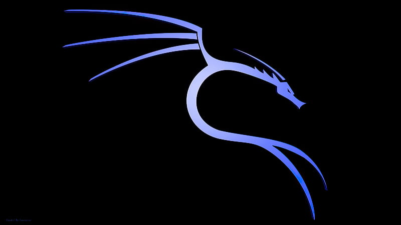 Kali linux, electric blue, computer, neon, dragon, HD wallpaper | Peakpx