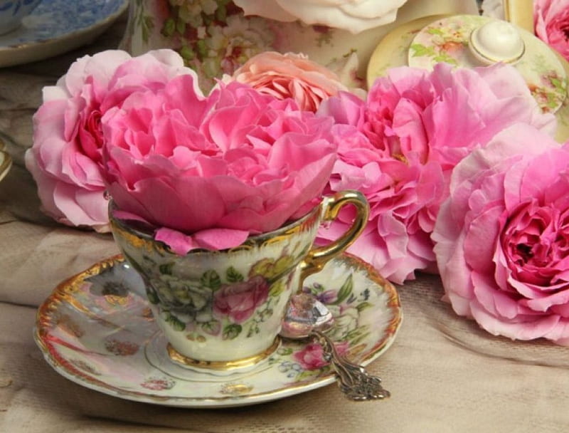 Paeonias, still life, flowers, blossoms, cup, artwork, HD wallpaper