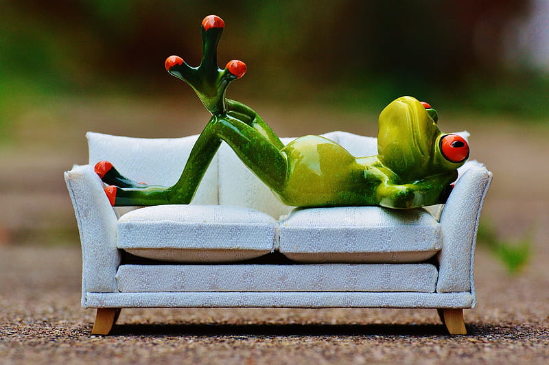Relaxing, cute, frog, green, relax, funny, white, sofa, figurine, HD wallpaper