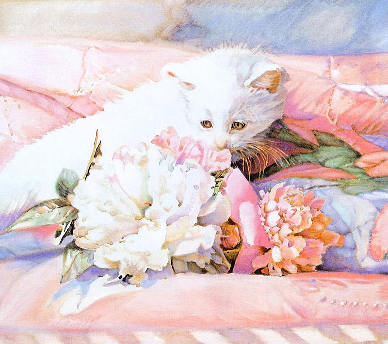 flower kitty (for tam), colors, flowers, quilt, kitten, HD wallpaper