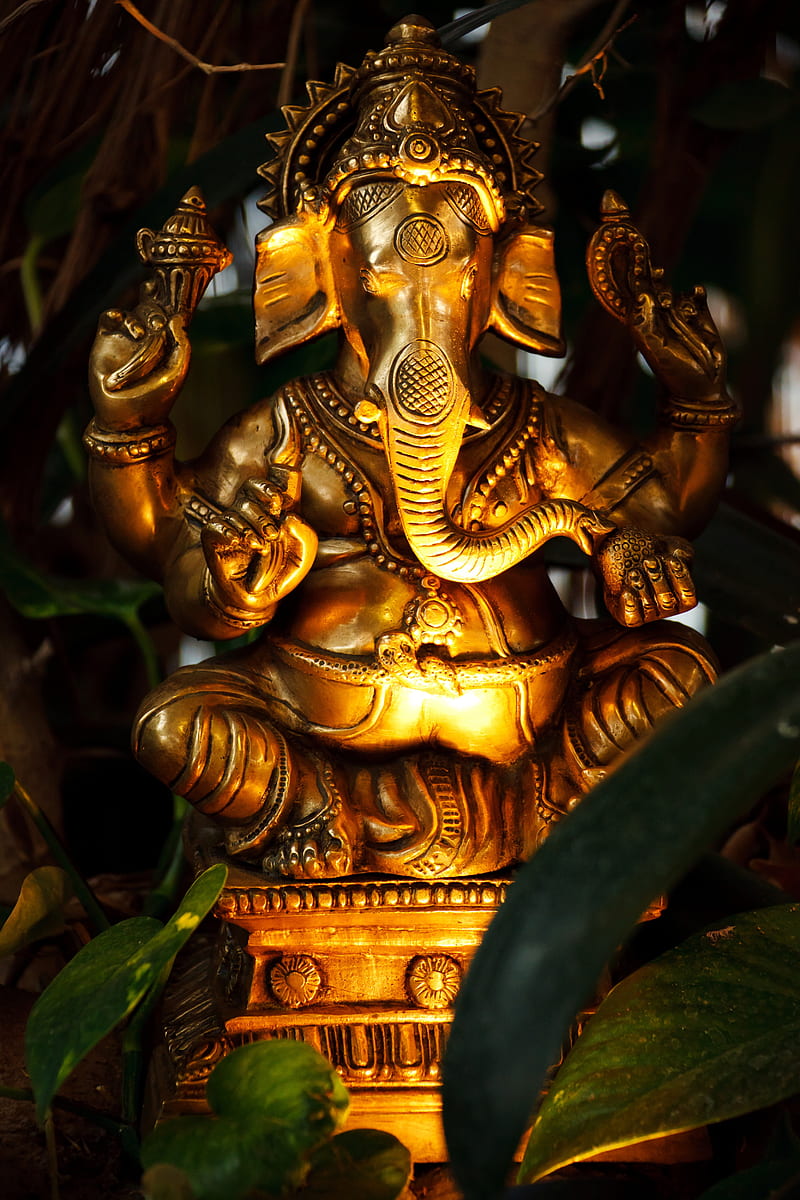 Ganesh, god ganesha, portrait, oneplus5t, HD phone wallpaper | Peakpx