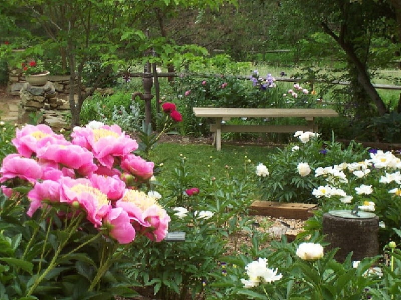 Relax in the garden, waterpump, bench seat, flowers, garden, country, trees, log, HD wallpaper