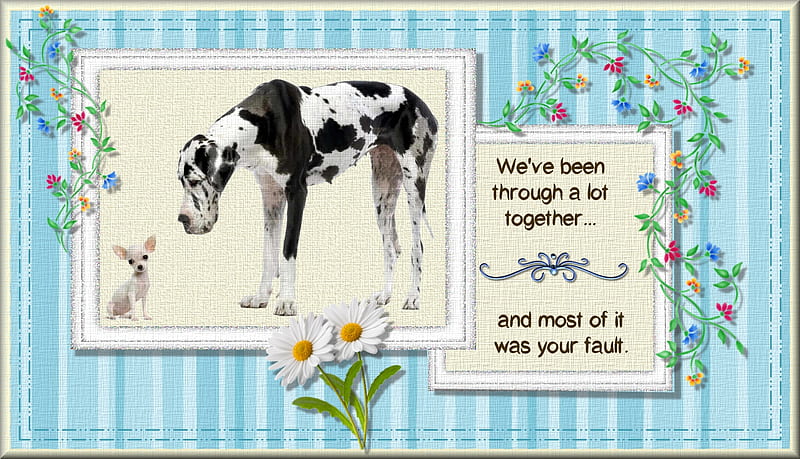 Your Fault, text, flowers, chihuahua, great dane, HD wallpaper