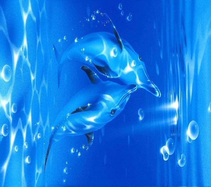 Underwater Delfine, HD wallpaper | Peakpx