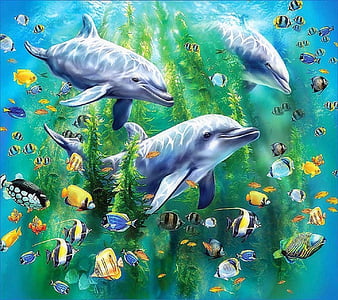 Delfines, HD wallpaper | Peakpx