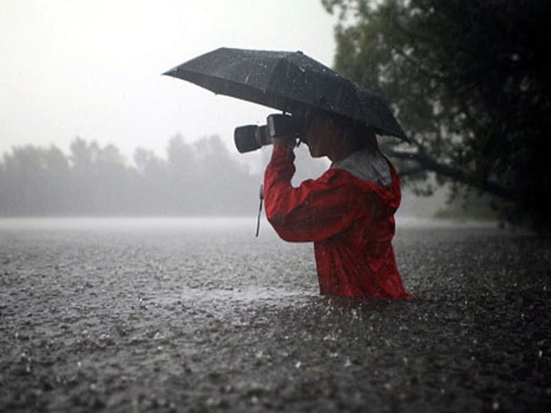 Flood grapher, umbrella, grapher, camera, trees, water, person, people, nature, rain, flood, HD wallpaper
