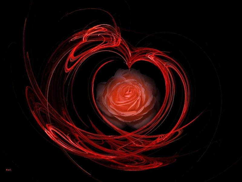 Heart and Rose: Dừng lại để chiêm ngưỡng những bức ảnh lung linh của Heart and Rose - những biểu tượng tình yêu đầy thơ mộng và lãng mạn, khiến trái tim bạn phải đập lên từng nhịp.