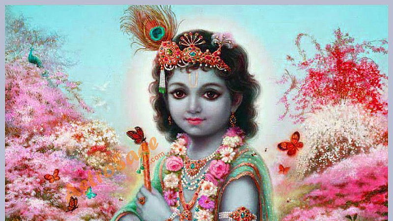 Little Krishna Krishna, HD wallpaper