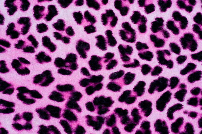 animal print, print, cheetah, purple, animals, HD wallpaper