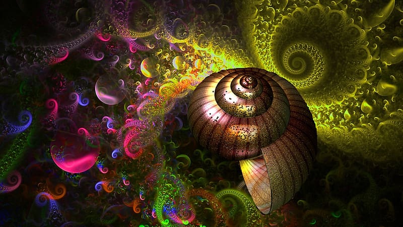 Abstract, Rainbow, Colors, Artistic, Shell, HD wallpaper | Peakpx