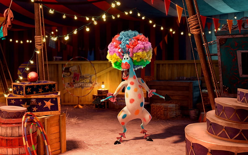 Marty, dots, chris rock, lights, circus, clown, animation, madagascar, funny, rainbow hat, zebra, HD wallpaper